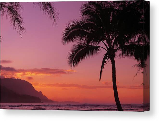 Kauai Canvas Print featuring the photograph Goodnight Palm by Tony Spencer