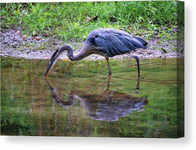 Reflections Canvas Print featuring the photograph Got Ya by Scott Burd