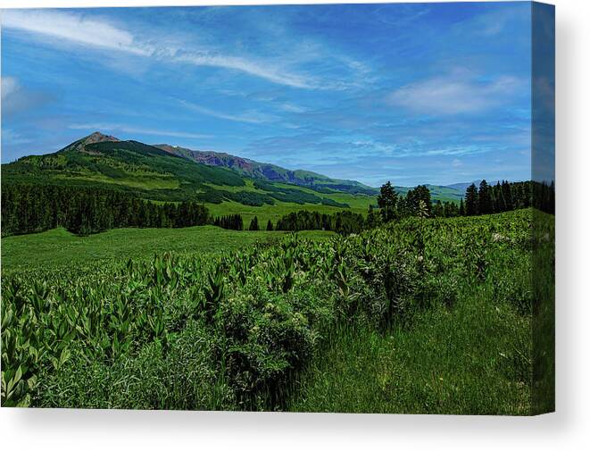 Cloud Canvas Print featuring the photograph Crested Butte Colorado, Gothic Mountain by Tom Potter