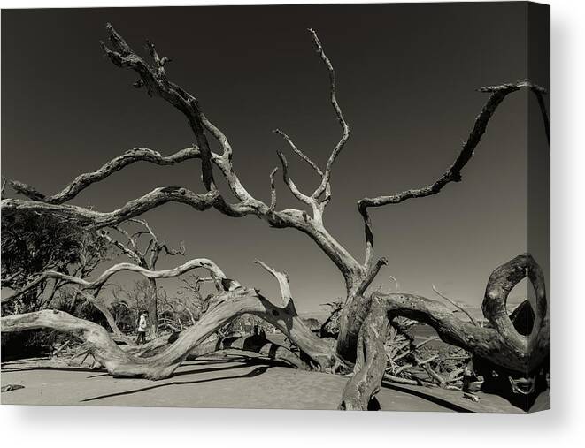 Monochrome Canvas Print featuring the photograph Grasping by Joseph Hawk