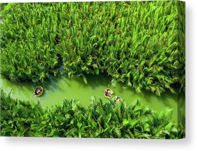 Awesome Canvas Print featuring the photograph Green Coconut Forest by Khanh Bui Phu