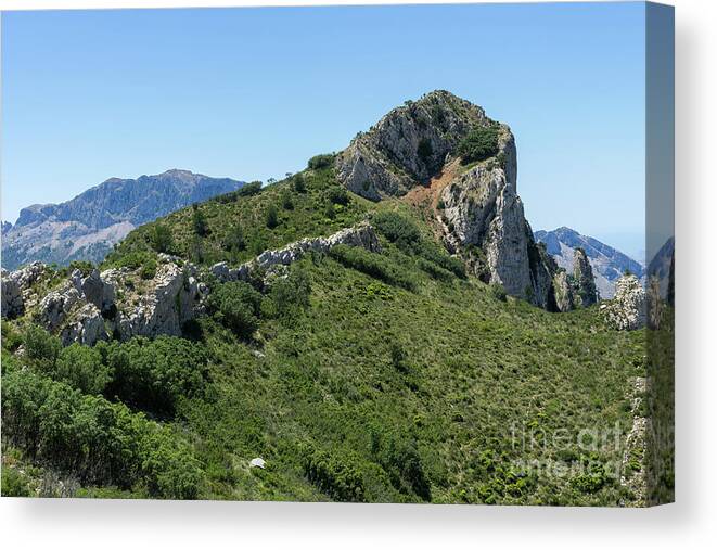 Mountains Canvas Print featuring the photograph Green expanse and ascent to the crest by Adriana Mueller