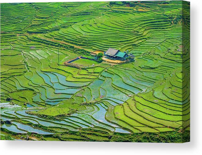 Black Canvas Print featuring the photograph Green Field Terraces by Arj Munoz