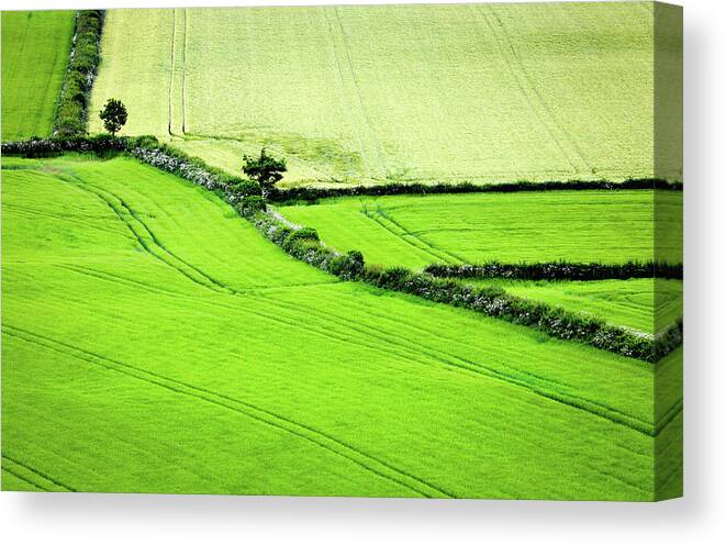 Ireland Canvas Print featuring the photograph Green Irish Fields by Sublime Ireland