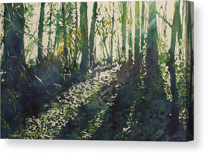 Forest Canvas Print featuring the painting Green Light by Jenny Armitage