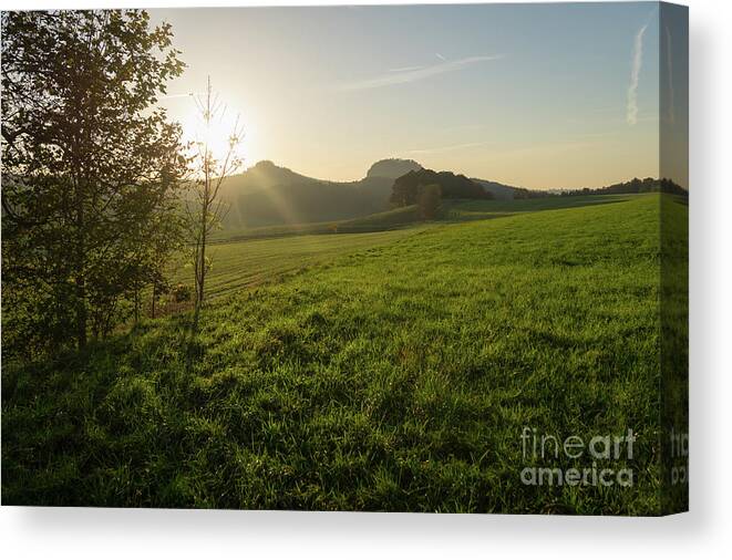 Saxon Switzerland Canvas Print featuring the photograph Green meadow and golden light 3 by Adriana Mueller
