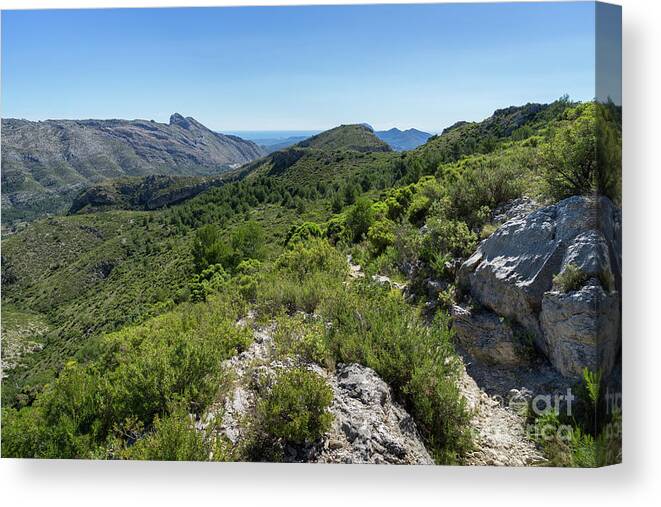 Mountain Canvas Print featuring the photograph Green mountain landscape and the rock Cavall Verd by Adriana Mueller