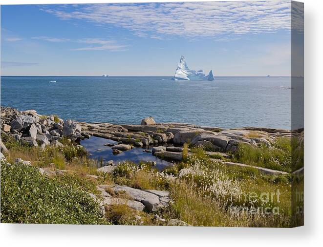 Nature Canvas Print featuring the photograph Greenlandic Nature by Eva Lechner