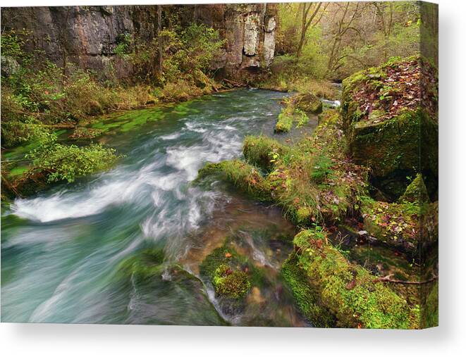 Greer Spring Canvas Print featuring the photograph Greer Spring by Robert Charity