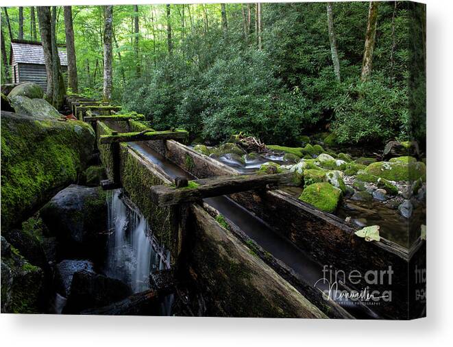 Art Prints Canvas Print featuring the photograph Grist Mill Flume by Nunweiler Photography