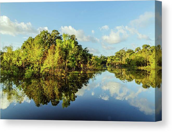 Bbsp Canvas Print featuring the photograph Hale Lake Reflections by Mike Schaffner