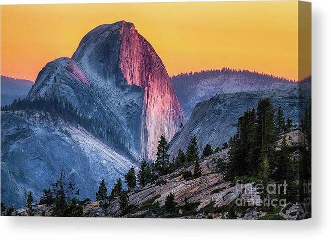 Half Dome Canvas Print featuring the photograph Half Dome Sunset by Anthony Michael Bonafede