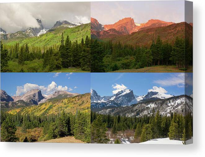 4 Seasons Canvas Print featuring the photograph Hallett and Flattop - Four Seasons by Aaron Spong