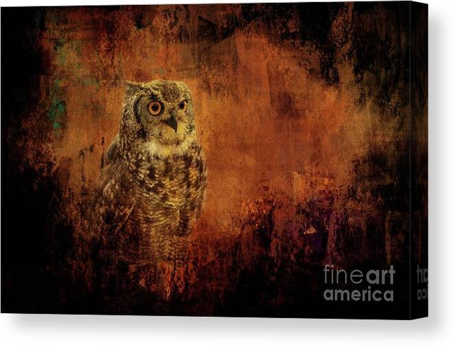 African Spotted Eagle Owl Canvas Print featuring the photograph Halloween Spotted Eagle Owl by Eva Lechner