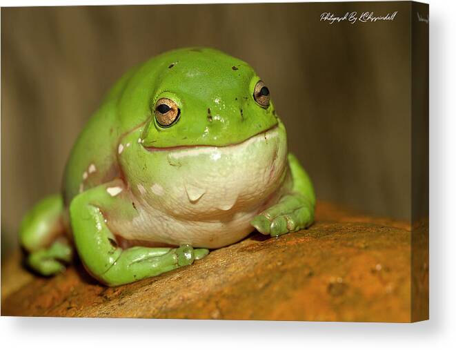 Happy Frog Canvas Print featuring the digital art Happy frog 663 by Kevin Chippindall