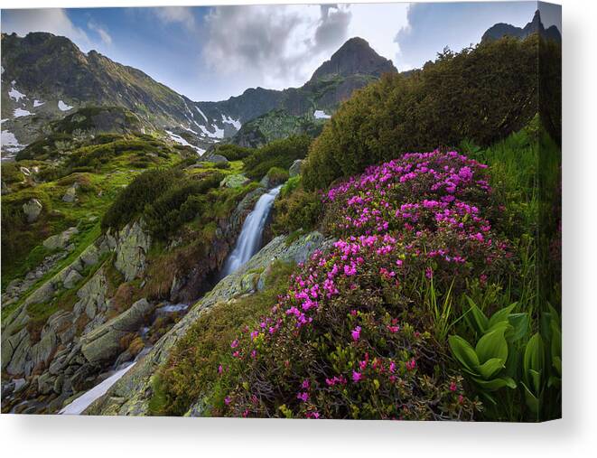 Nature Canvas Print featuring the photograph Harmony - Judele peak - Retezat National Park by Cosmin Stan