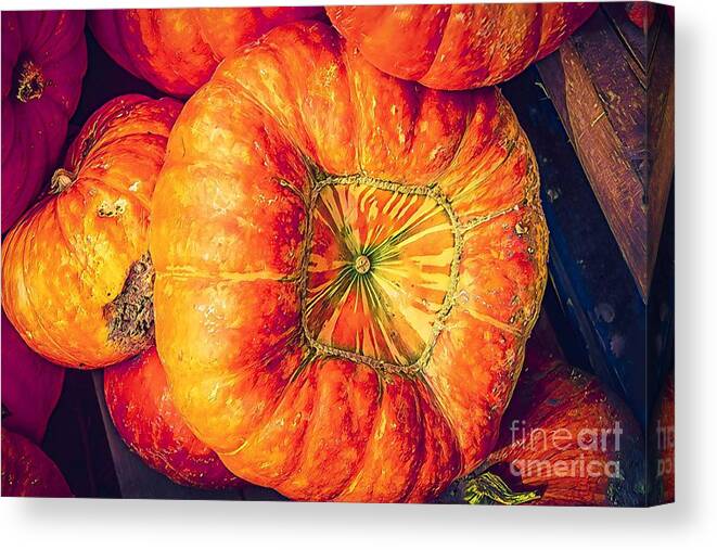 Pumpkin Canvas Print featuring the photograph Harvest Pumpkin by Susan Vineyard