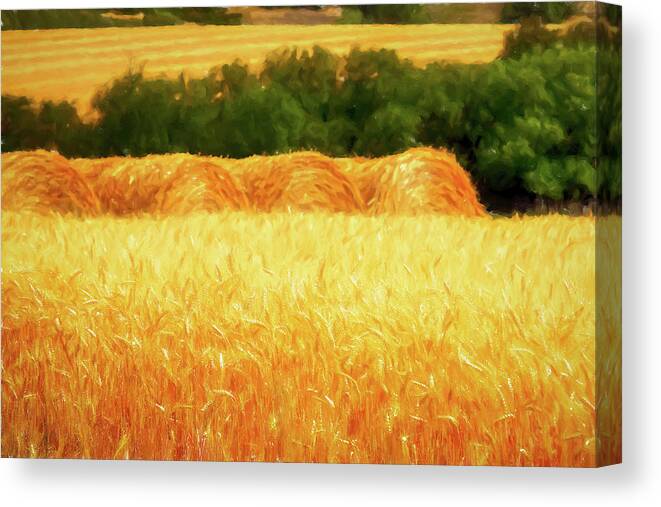 Wheat Field Canvas Print featuring the digital art Harvest time in Idaho by Tatiana Travelways