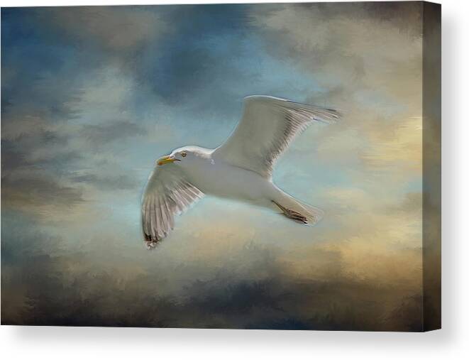 Seagull Canvas Print featuring the photograph Heavenly Flight by Cathy Kovarik