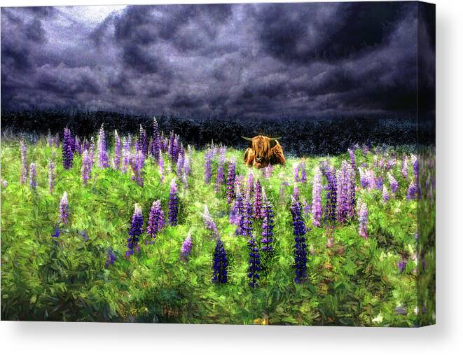 Highlander Canvas Print featuring the photograph Highland Storm #1 Dreams of the Storm by Wayne King