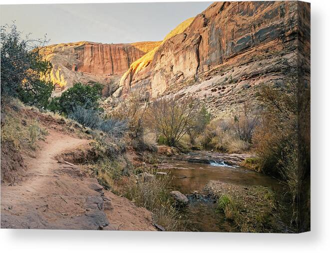 Hiking Canvas Print featuring the photograph Hike to Morning Glory Arch Moab Utah by Joan Carroll
