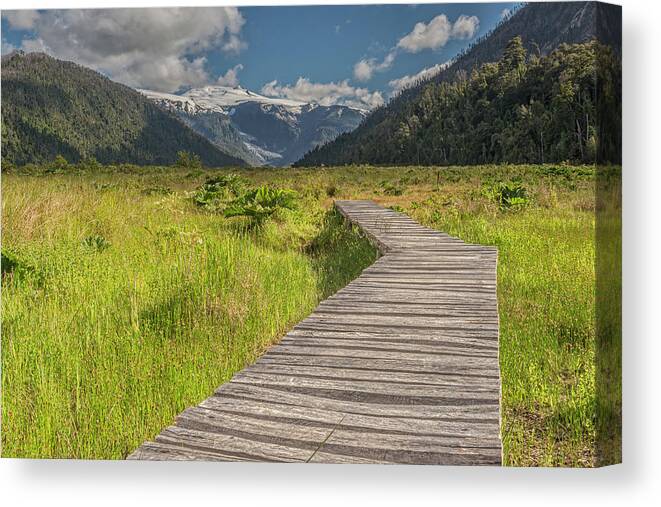 Chile Canvas Print featuring the photograph Hiking path to the Michinmahuida glacier by Henri Leduc