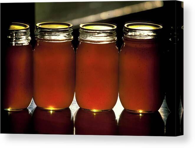 Copyright Elixir Images Canvas Print featuring the photograph Honey by Santa Fe