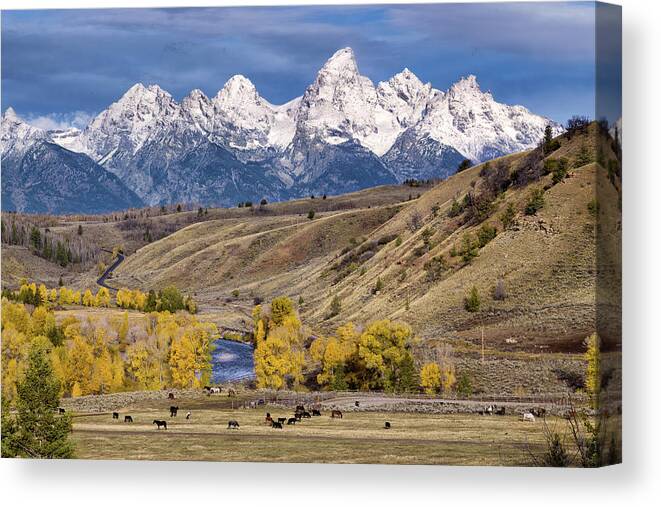 Grand Teton National Park Canvas Print featuring the photograph Horses on the Gros Ventre River by Kathleen Bishop