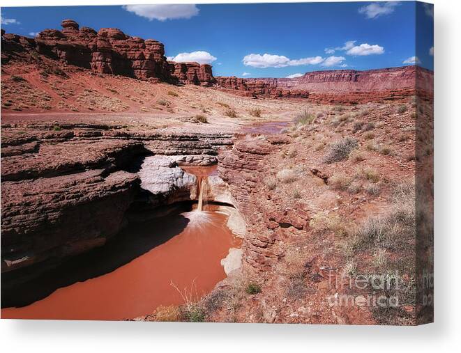 Utah Canvas Print featuring the photograph Hot Chocolate by Jim Garrison
