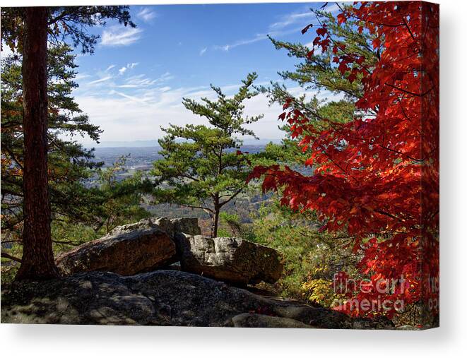 House Mountain Canvas Print featuring the photograph House Mountain 34 by Phil Perkins