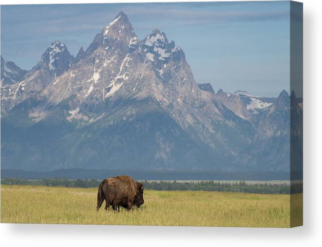 Tetons Canvas Print featuring the photograph Iconic by Mary Hone