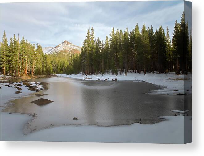 Landscape Canvas Print featuring the photograph Icy Pond by Jonathan Nguyen