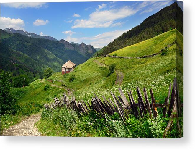 Tranquility Canvas Print featuring the photograph Idyllic landscape from Svaneti, Caucasus mountain by Maya Karkalicheva