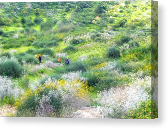 Impressionistic Photography Canvas Print featuring the photograph Impressions of Ness Ziona Hills 1 by Dubi Roman