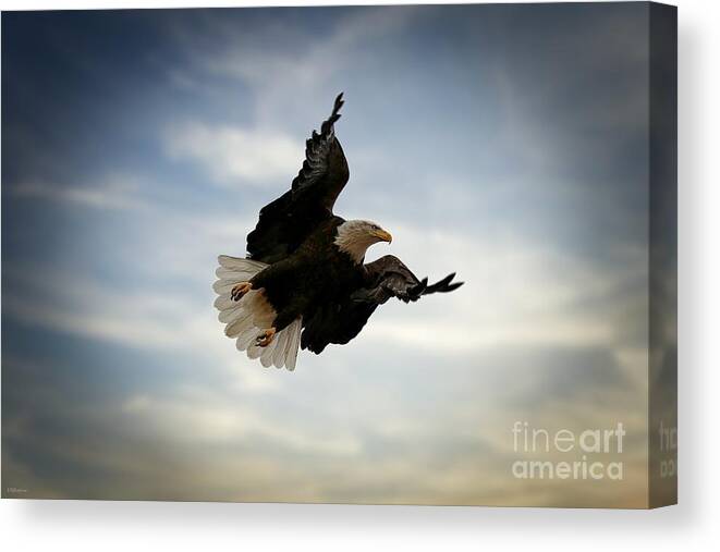 Eagles Canvas Print featuring the photograph In Flight by Veronica Batterson