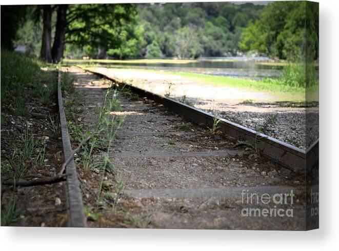 Tracks Canvas Print featuring the photograph In the Distance by Expressions By Stephanie