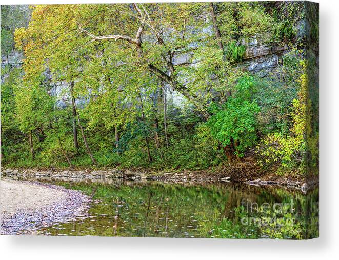 Buffalo National River Canvas Print featuring the photograph In The Shade At Buffalo National River by Jennifer White