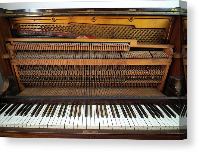 Piano Canvas Print featuring the photograph Inside The Old Piano 1 by Tom Conway