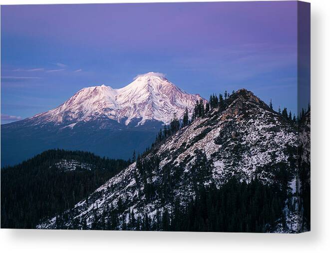 California Canvas Print featuring the photograph Into the Blue Mt. Shasta by Gary Geddes
