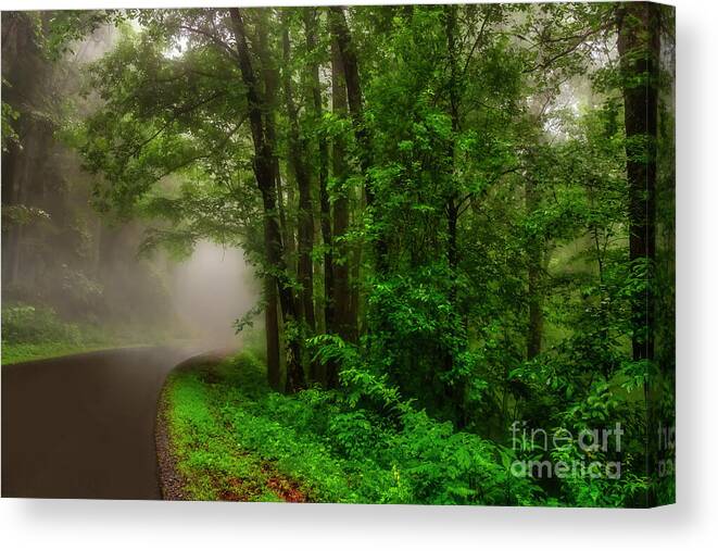 Blue Ridge Canvas Print featuring the photograph Into the Fog and Mists by Shelia Hunt
