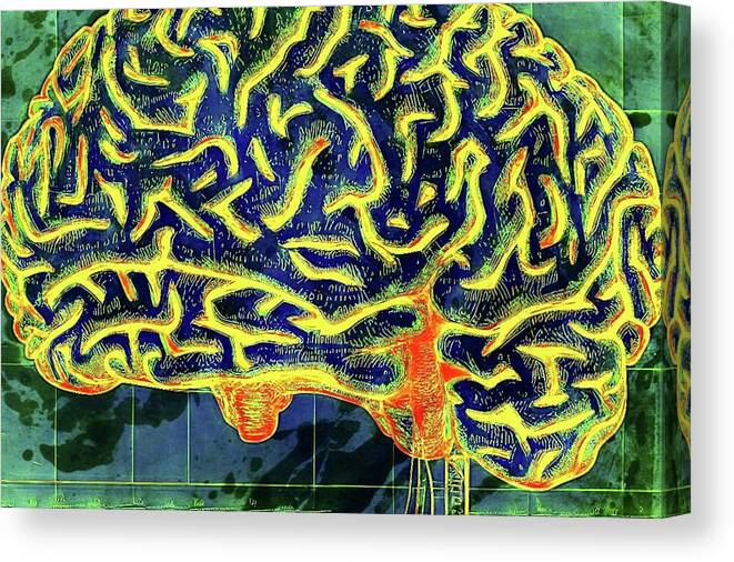 Brain Canvas Print featuring the digital art Into The Mind by Ally White