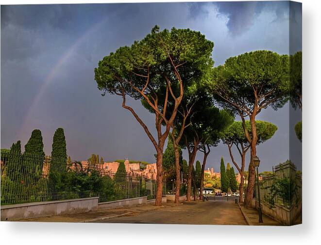  Canvas Print featuring the photograph Italian Vacations - Rome Historic Center - Pine Trees and Rainbow 1 by Jenny Rainbow