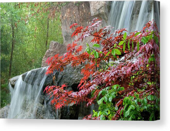 Japanese Canvas Print featuring the photograph Japanese Garden Waterfall Albuquerque by Mary Lee Dereske