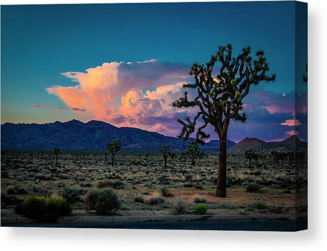 Joshua Tree National Monument Canvas Print featuring the photograph Joshua Tree Sunset by G Wigler