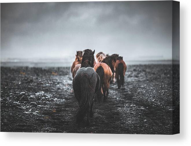 Photographs Canvas Print featuring the photograph Journey Home - Horse Art by Lisa Saint