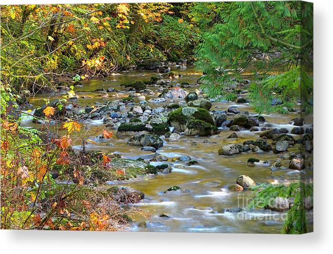 Kanaka Creek Canvas Print featuring the photograph Kanaka Creek in the Fall by Sharon Talson