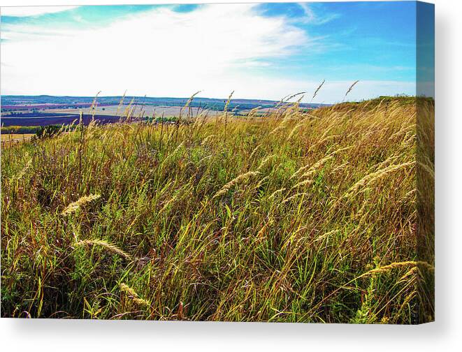 Wheat Canvas Print featuring the photograph Kansas Wheat Field by Jim Mathis