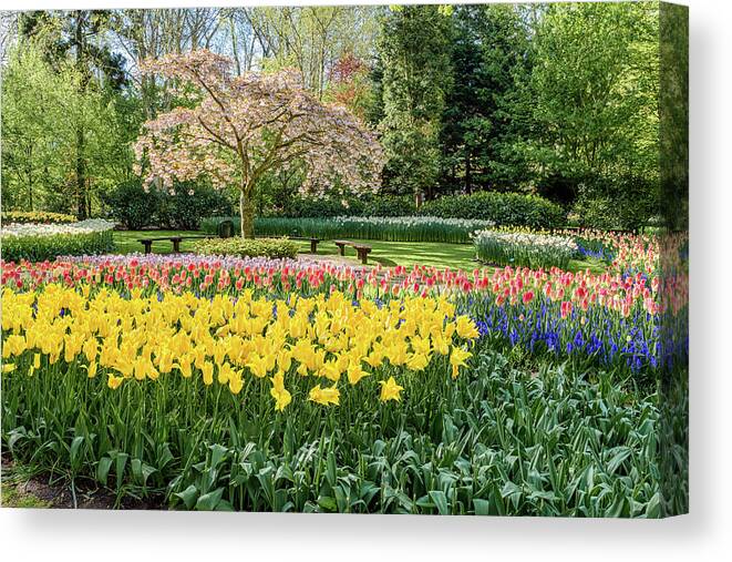 Europe Canvas Print featuring the photograph Keukenhof Gardens I by Jim Miller