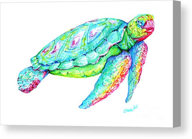 Turtle Canvas Print featuring the painting Key West Turtle 2 Study by Shelly Tschupp