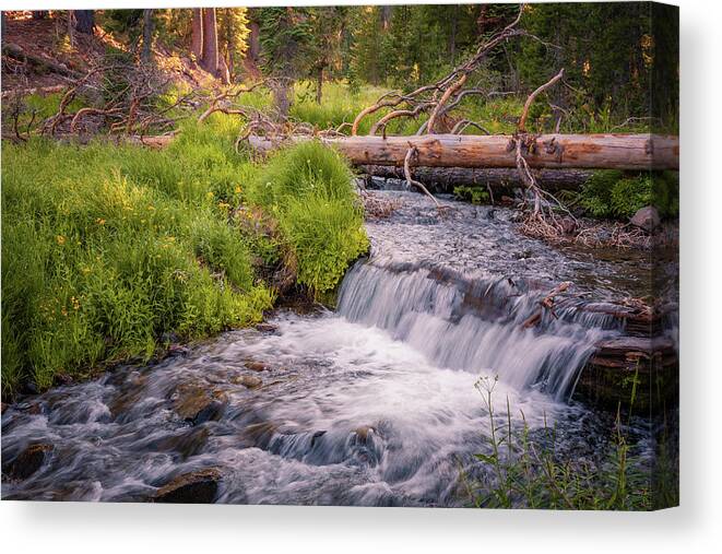 Tpeak Photos Canvas Print featuring the photograph KIngs Creek Tranquility by Mike Lee